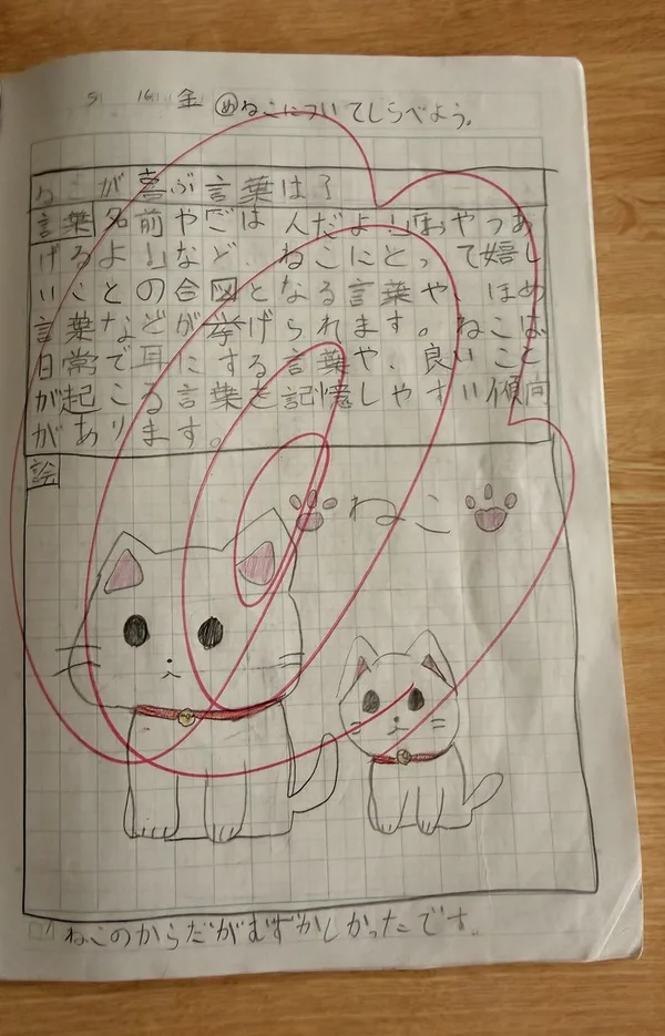 長女の自主学習ノート(小3・ねこについてしらべた回)