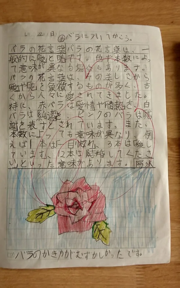 長女の自主学習ノート(小3・バラの花言葉をしらべた回)