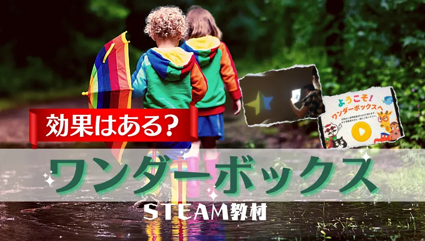 ワンダーボックス効果