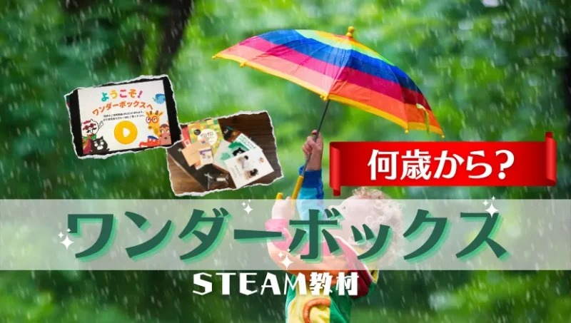 ワンダーボックス何歳から